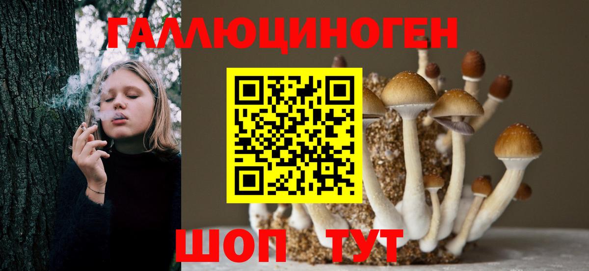 Псилоцибиновые грибы прущие грибы  Псилоцибиновые грибы Cubensis  Борзя  Вход с VPN 